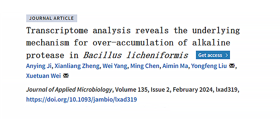 基于GenoLab M的轉(zhuǎn)錄組測(cè)序揭示地衣芽孢桿菌高產(chǎn)堿性蛋白酶的潛在機(jī)制